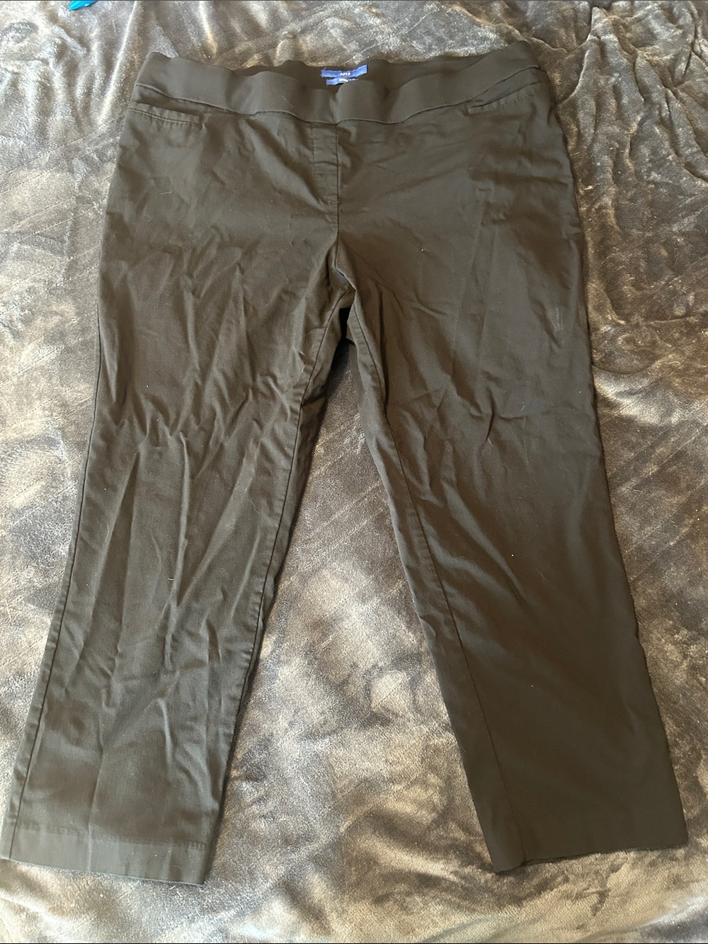 Apt. 9 Brynn black dress pants size 24WS